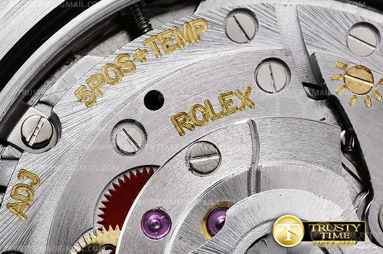 0307 SmartChoice R2DJ0252F – DJ2 41mm Jub 636